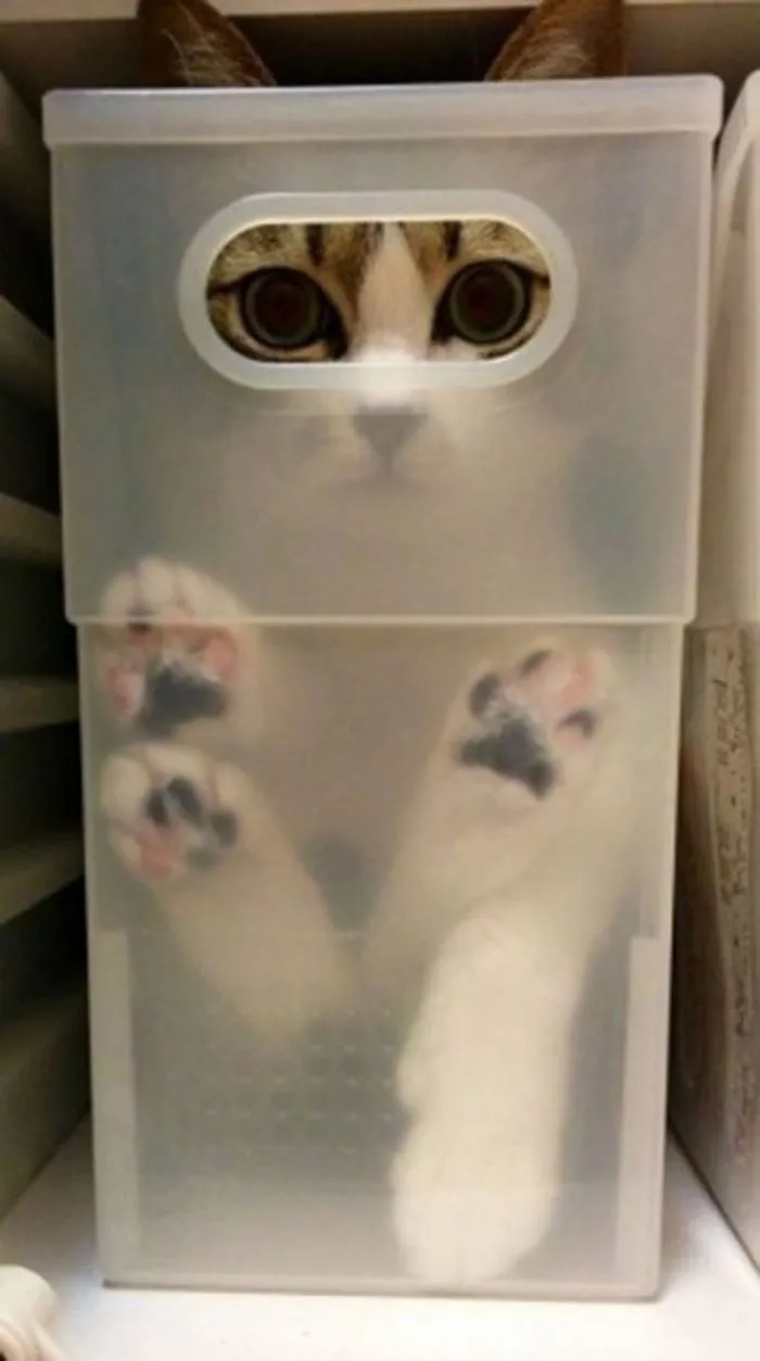 Esos ojos