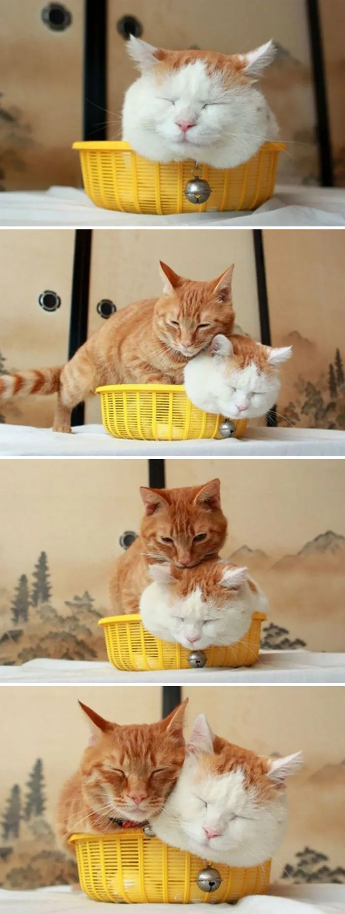 Cabemos los dos