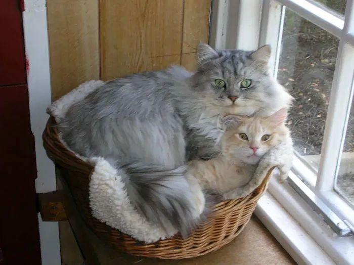 If You Fits, I Sits