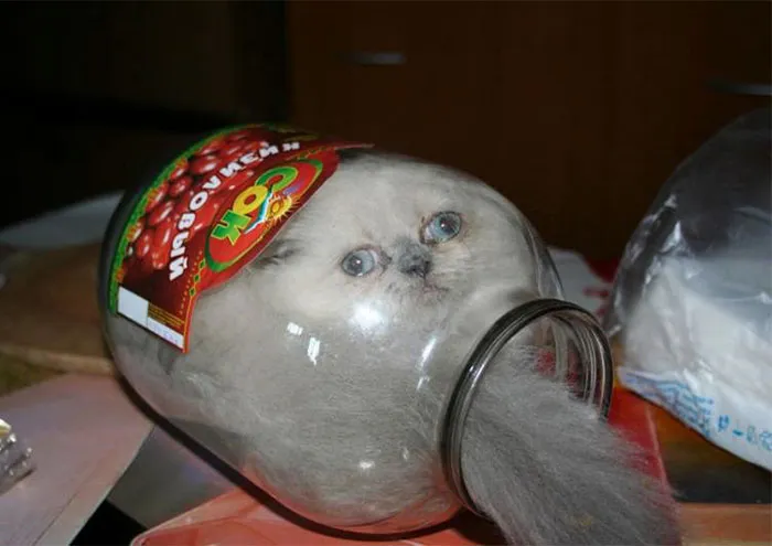 I've Made A Huge Mistake