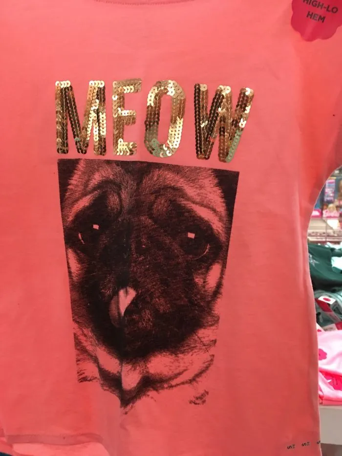 I Just...its A Pug