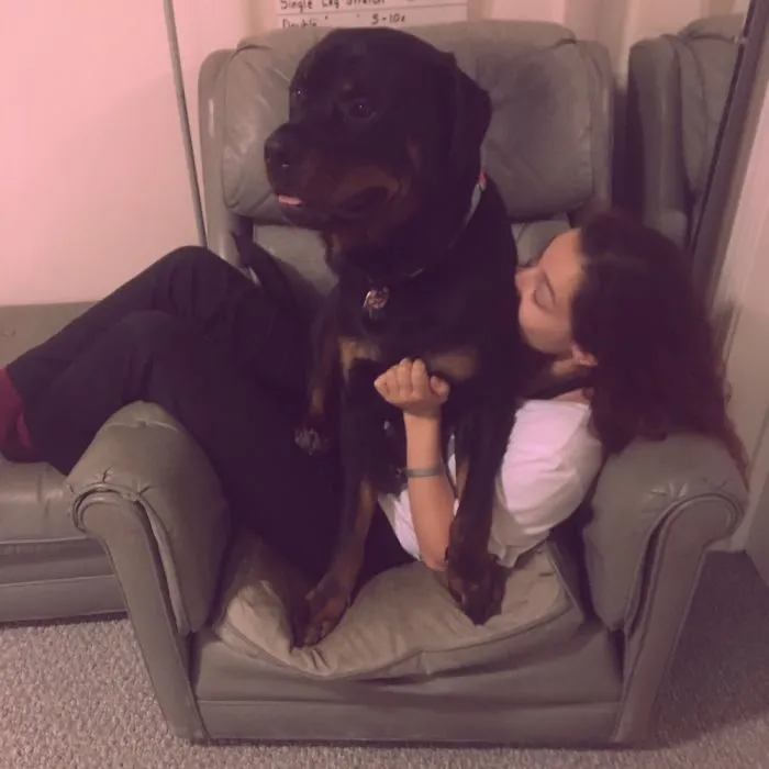 Once My Baby Always My Baby. I've Had Him Since He Was 20lbs And He's Currently 110 And Growing