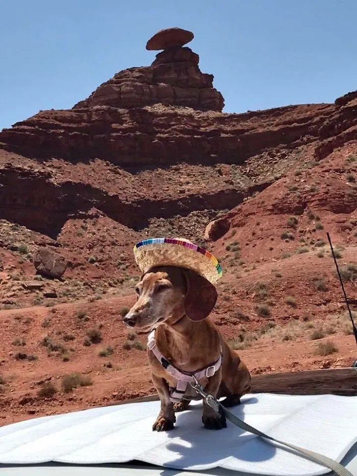 Navajo Nation
