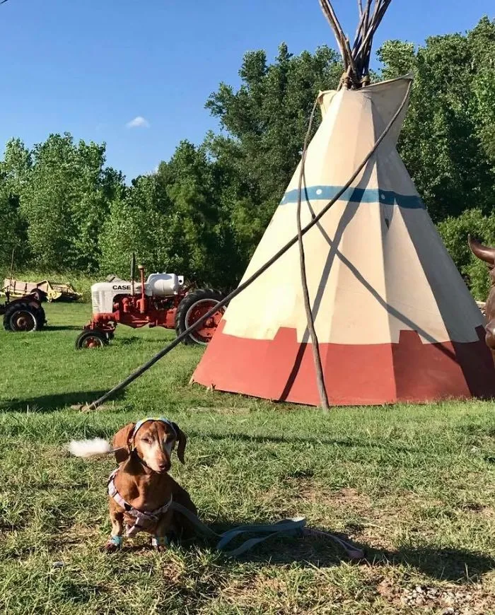P And A Tee-Pee