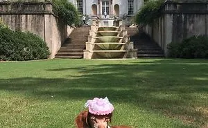 Southern Belle