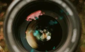 Canon Beating Heart...