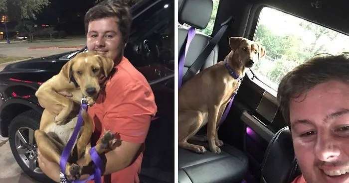 This Student Ignored All Warnings And Drove Towards A Hurricane To Save Animals On His Path