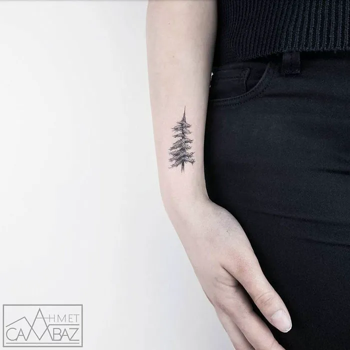 10+ Tatuajes sencillos pero llamativos que querrás en tu piel, hechos por un ex-caricaturista turco