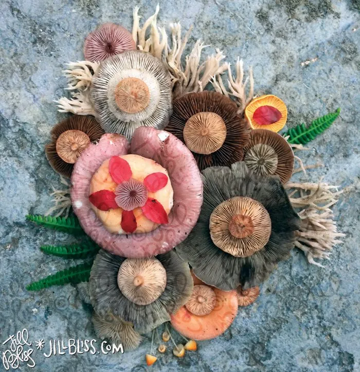 La belleza mágica de las setas captada en 10+ coloridas fotos por Jill Bliss