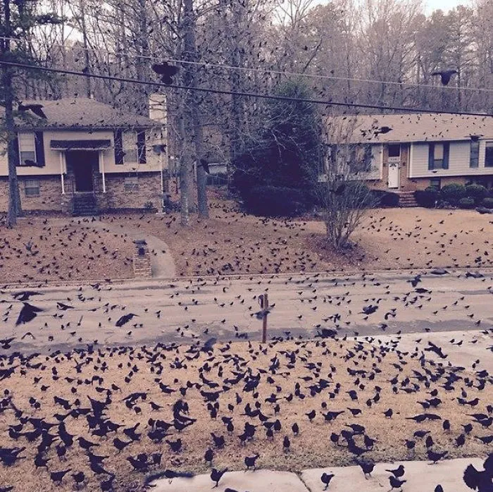 So I Woke Up To This Out Front