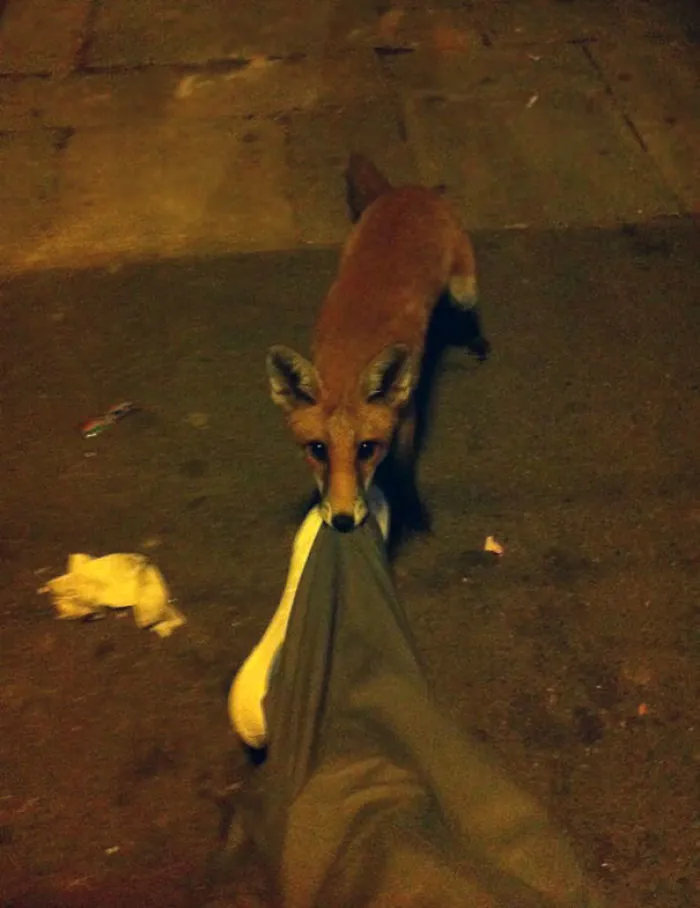 Passed Out At A London Bus Stop. Woke Up To This