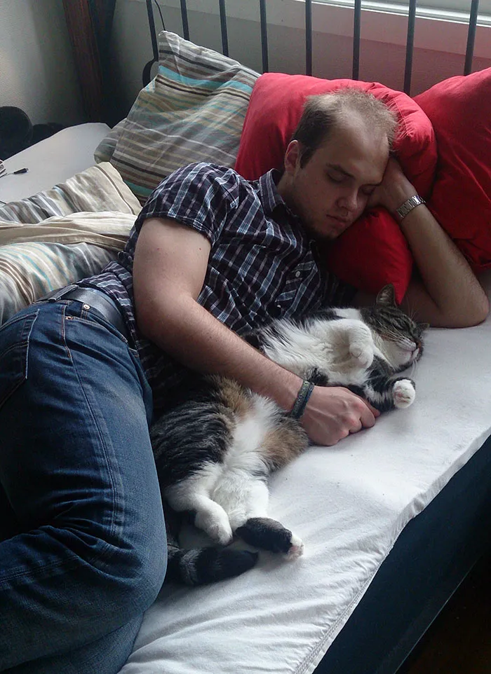 "De Verdad Odio A Tu Gato", Ciertamente