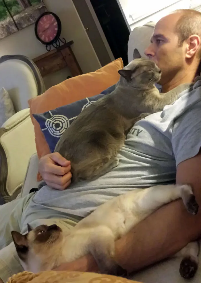 When We Met 13 Years Ago He Told Me, "I'm More Of A Dog Person, Really"