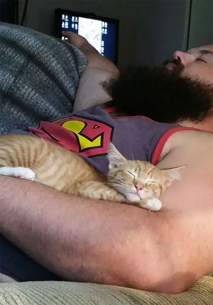 Él No Quería Un Gato