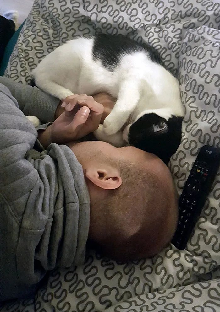 Y Él Ni Siquiera Quería Un Gato