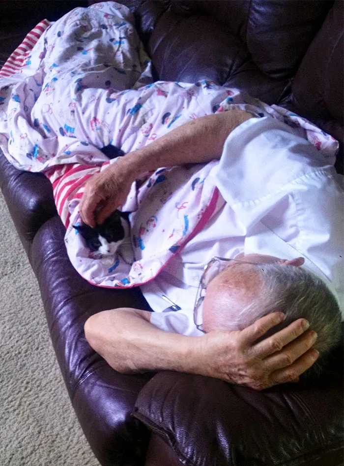 Cuando Era Pequeña Mi Abuelo Odiaba A Los Gatos Y Me Decía Que, Cuando Mis Gatos Muriesen, No Se Me Permitía Meter Más Bajo Su Techo. Murieron. Cogí Otro. Este Es Mi Abuelo