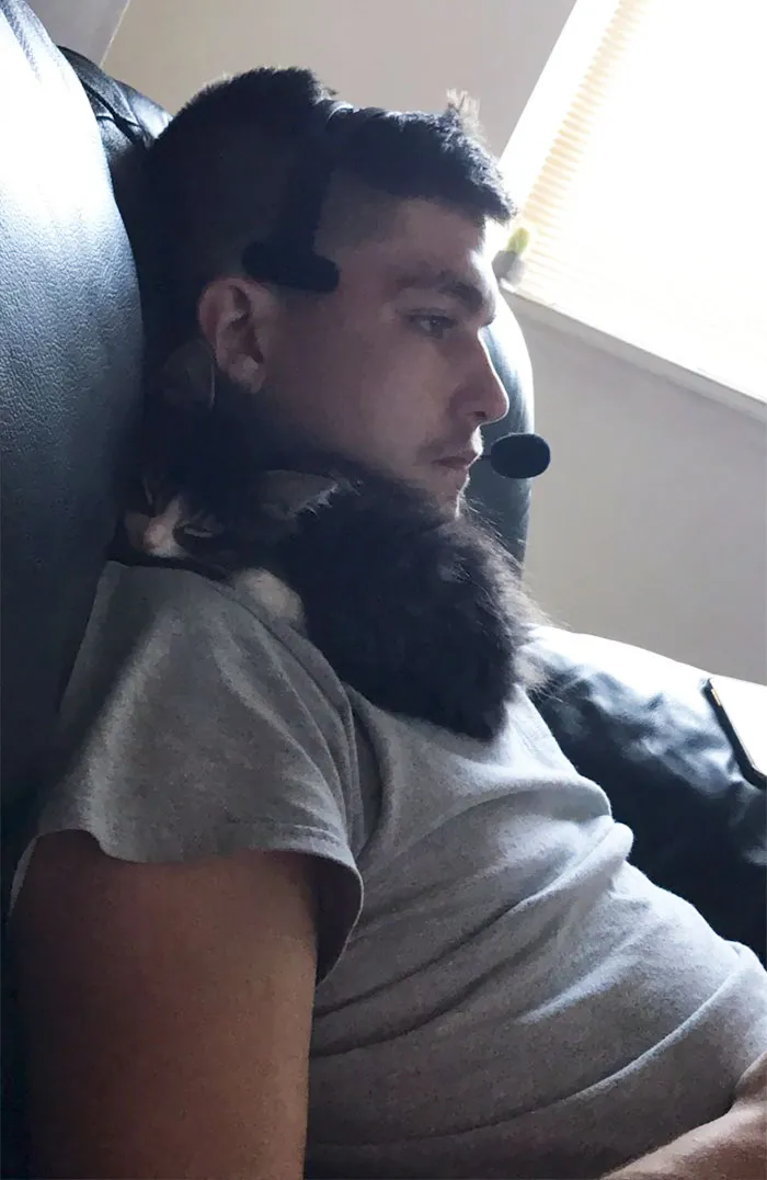 Este Es El Hombre Que No Quería Un Gato