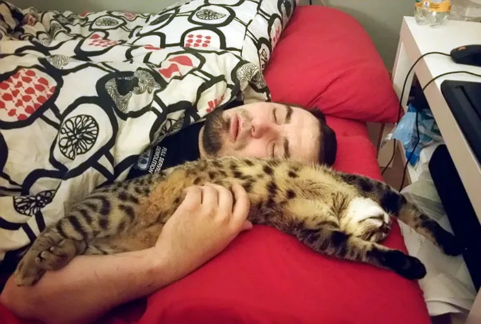 Si Le Preguntas: "C*ño, No, No Soy Una Persona De Gatos"