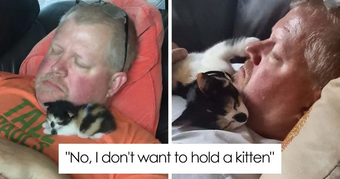 50 People Who Said They Didn't Want The Damn Cats