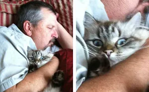 50 People Who Said They Didn't Want The Damn Cats