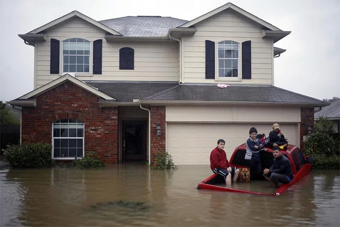 Residents With A Dog Sit In The Back Of A Truck While Waiting To Be Rescued From Rising Floodwaters In Spring, Texas