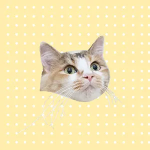 MewPawmily
