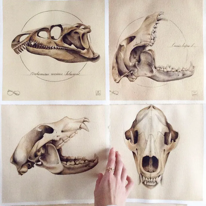 Russian Artist Reveals Her Mysterious Sketchbook To The World, And It's Full Of Visual Secrets
