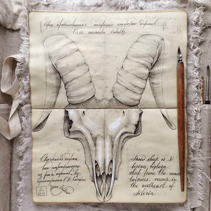 Esta artista rusa muestra su cuaderno de bocetos lleno de secretos visuales