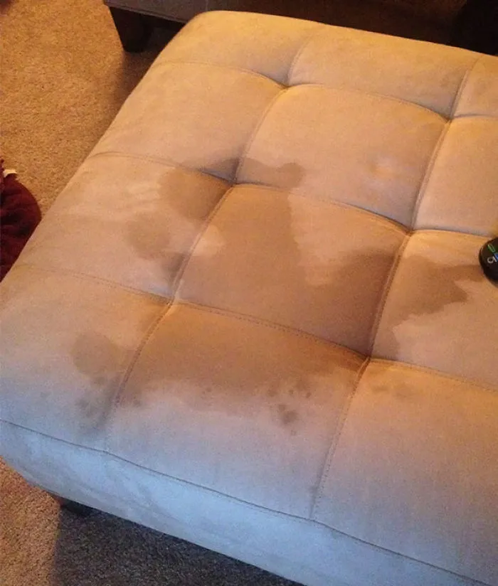 My Spilled Water Looks Like A Squirrel Eating A Nut