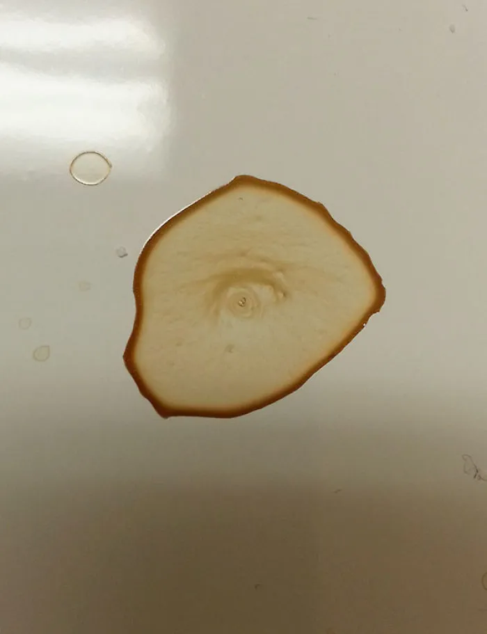 Spilled A Bit Of Coffee. Came Back Later To See It Looking At Me