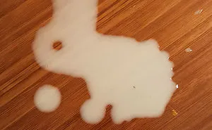 81 Accidental Spills That Will Make You Look Twice