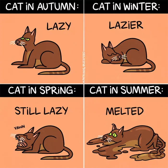 132 Funny Comics About Summer Problems That Almost Everyone Will Relate To