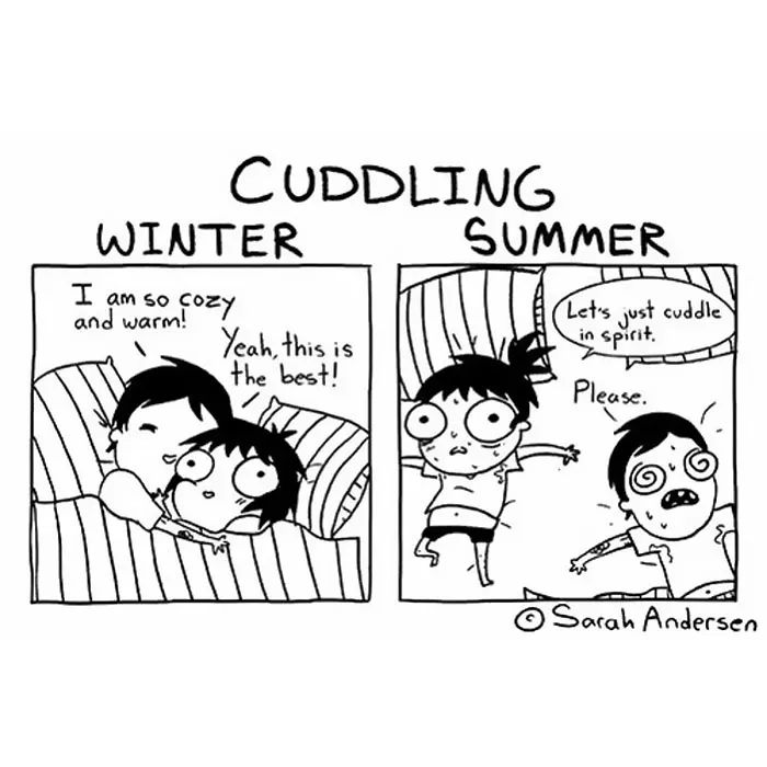 132 Funny Comics About Summer Problems That Almost Everyone Will Relate To