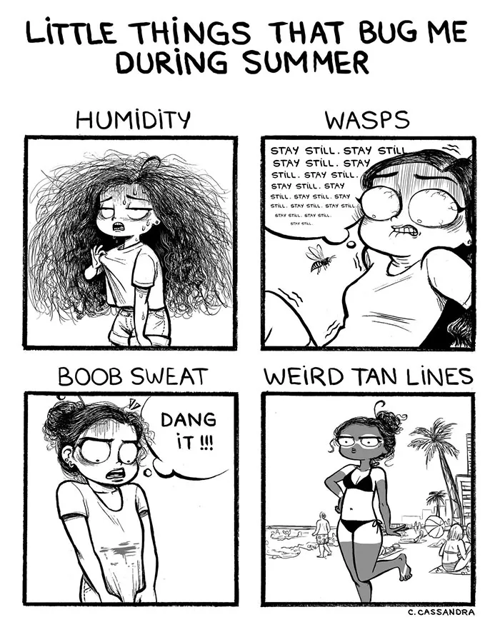 129 Funny Comics About Summer Problems That Almost Everyone Will Relate To