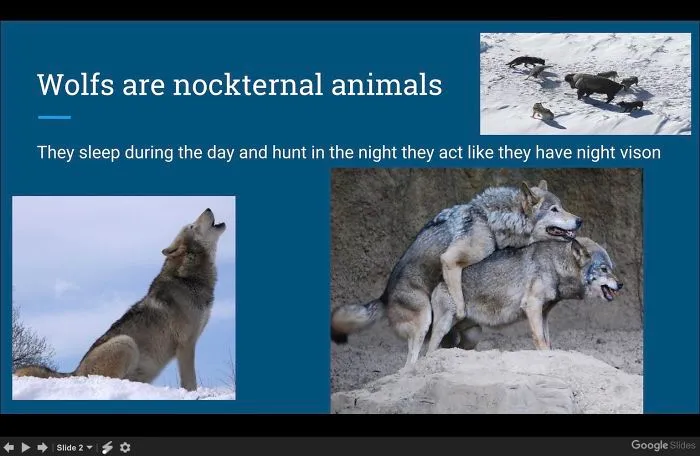Funny presentation about wolfs