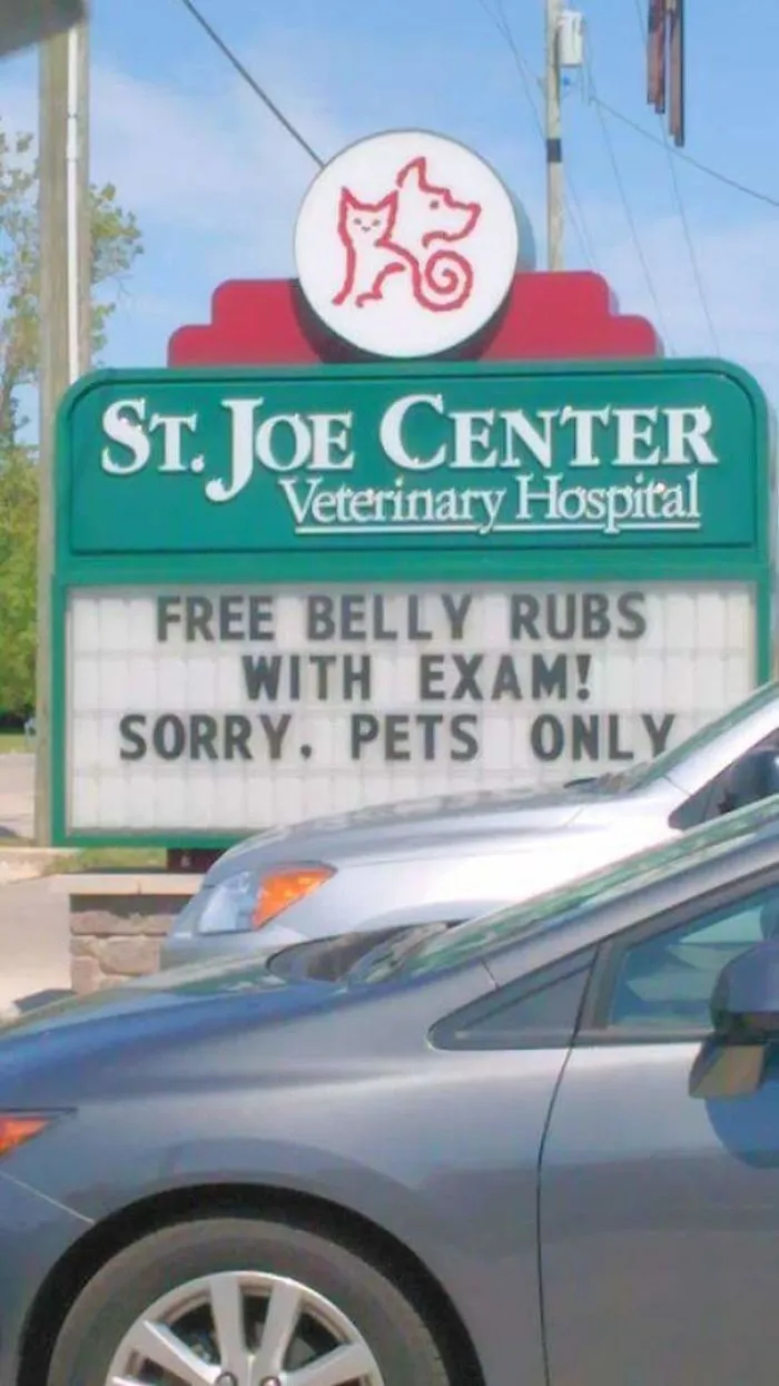50 Genius Vet Signs That Will Make You Laugh