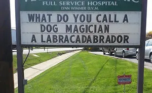 50 Genius Vet Signs That Will Make You Laugh