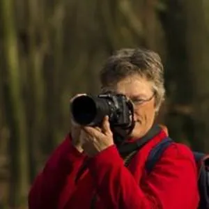 Gea Van de Veen