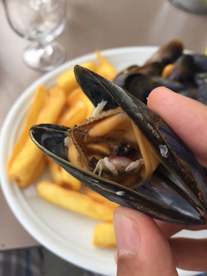 Mussel held in hand reveals a small crab inside, with fries in the background, showcasing a surprising moment in nature.
