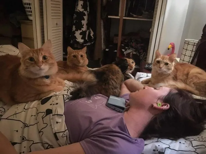This Is What Happens When You Sleep Through Breakfast Time