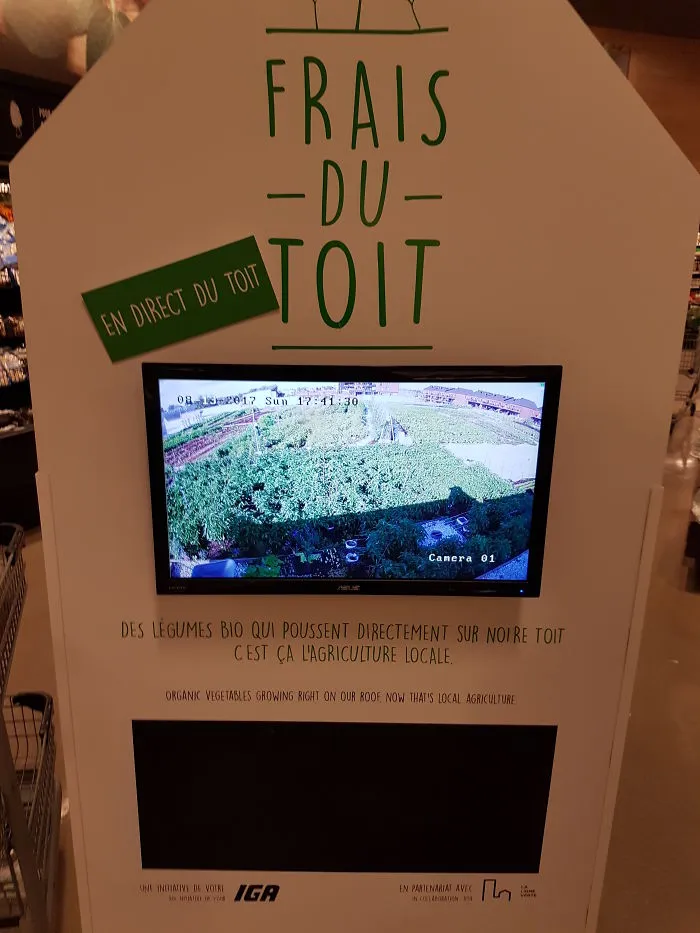 En esta tienda cultivan verduras en el tejado y lo muestran en vídeo en el interior