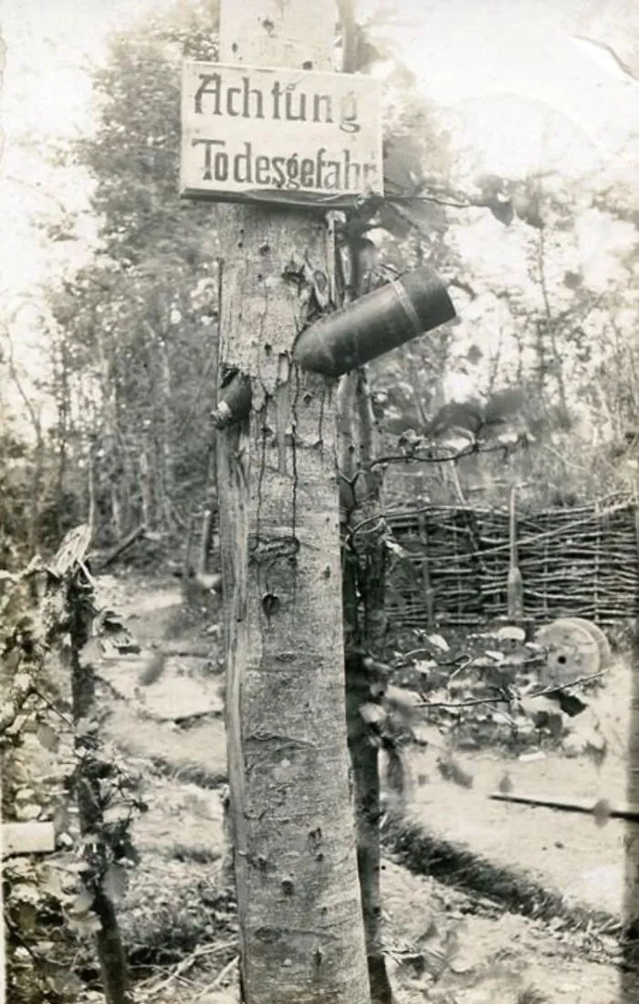 "Beware Of Death" Sign Above An Unexploded Shell In A Tree During WW1