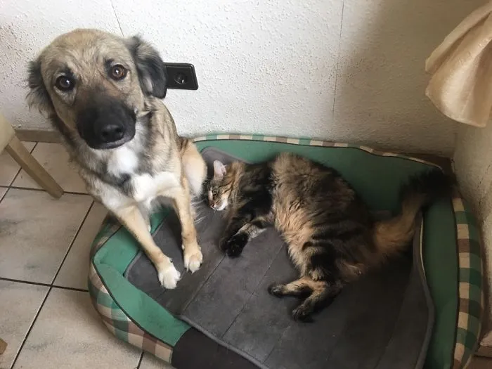 You Left Your Bed, So It Is Mine Now