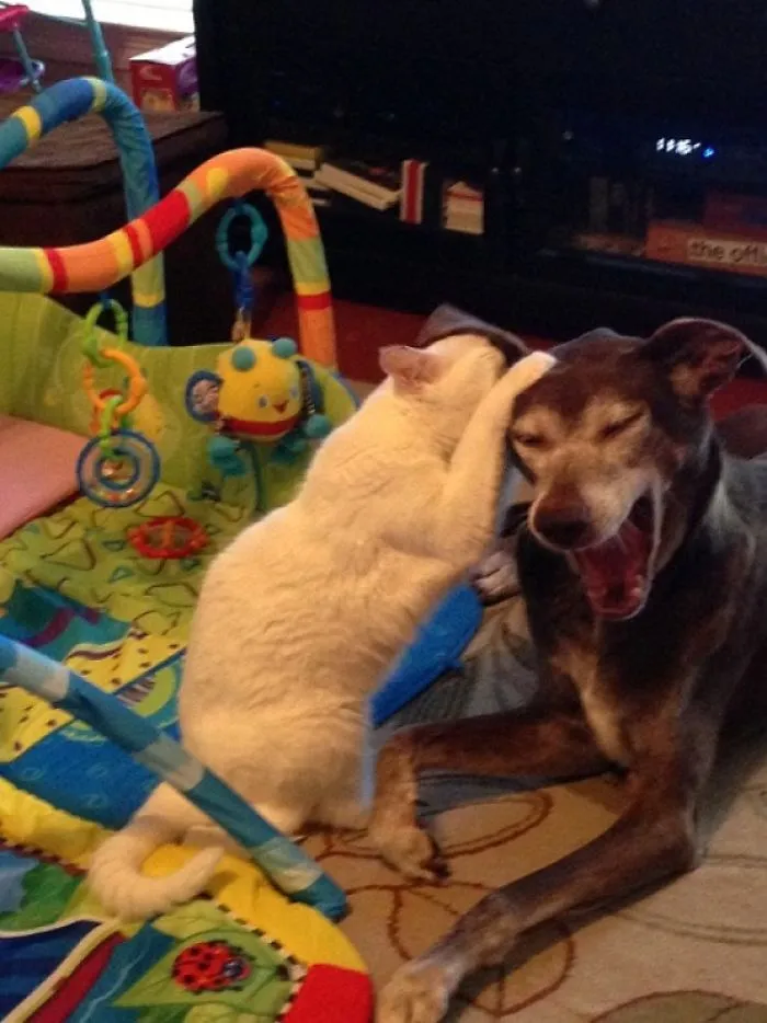 Attack