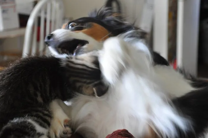 So Dramatic