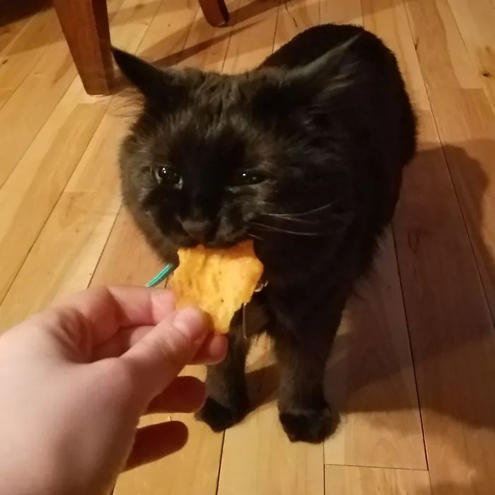 Me trajo una galleta, pero solo quería que se la sostuviera mientras se la comía
