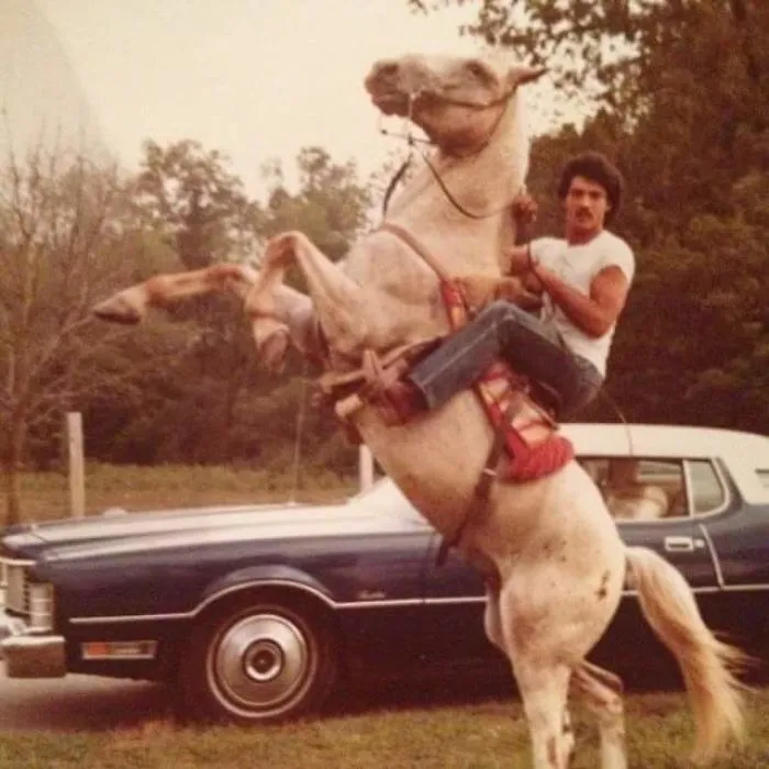 My Dad Being Infinitely Cooler Than I'll Ever Be (1980)