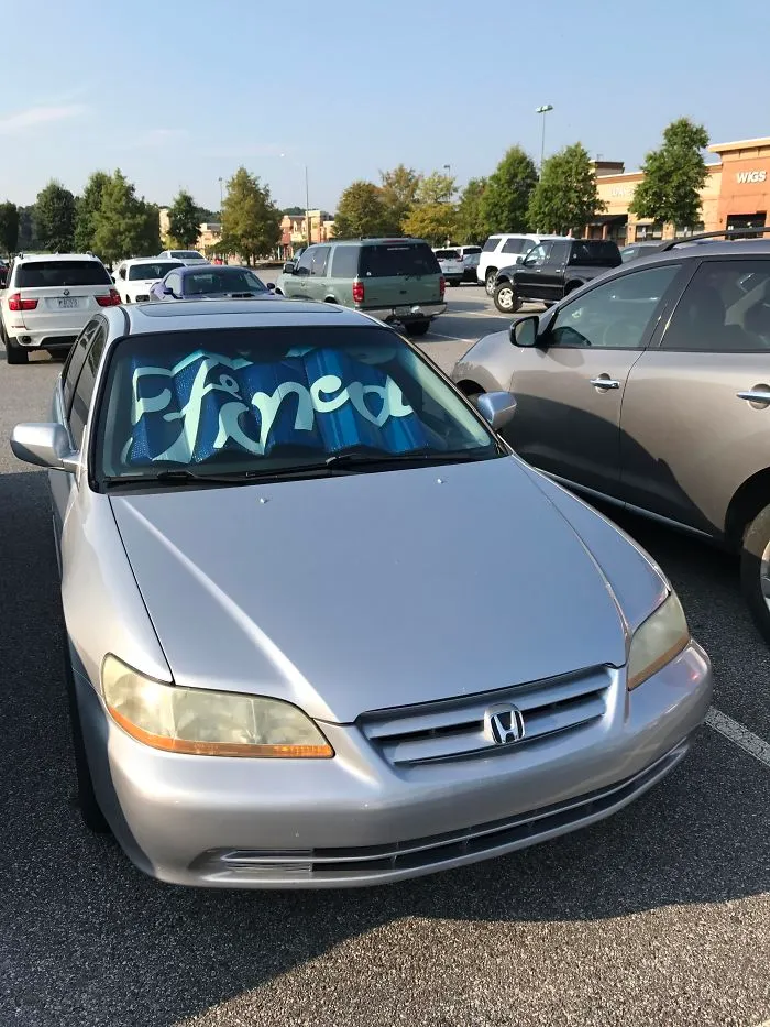 Anarchy At The Gym This Morning