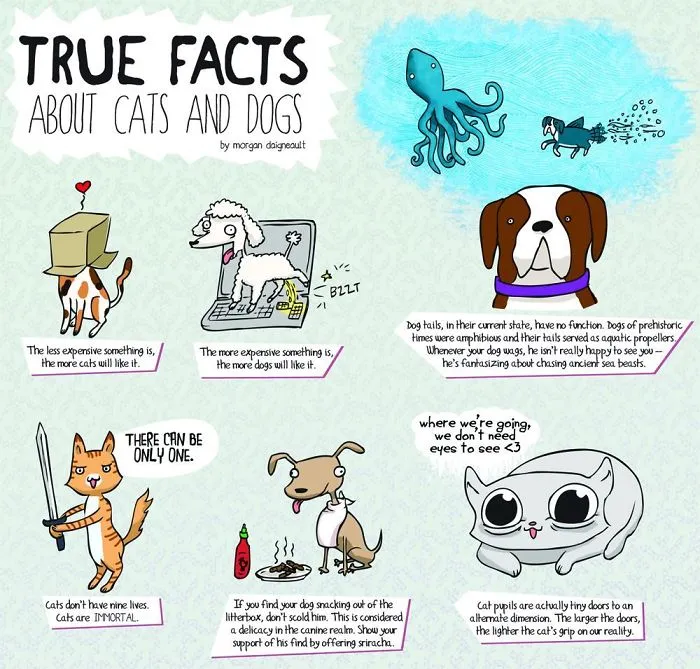 Cartoon illustrating comedic differences between cats and dogs, featuring humorous captions and various illustrated scenarios.