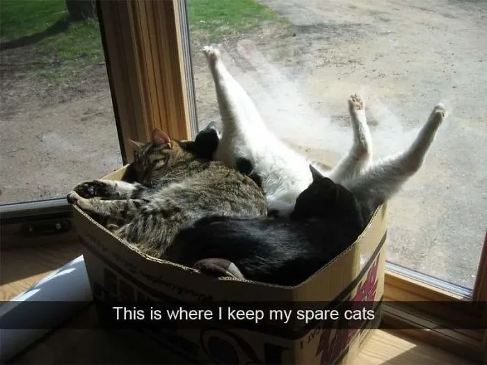 Just Got This Snap From The Mother-In-Law